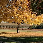 Le Mas, Maison De Maitre, Cognac * Verrieres (Charente)