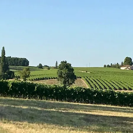 بيت للعطل Le Mas, Maison De Maitre, Cognac Verrieres (Charente)