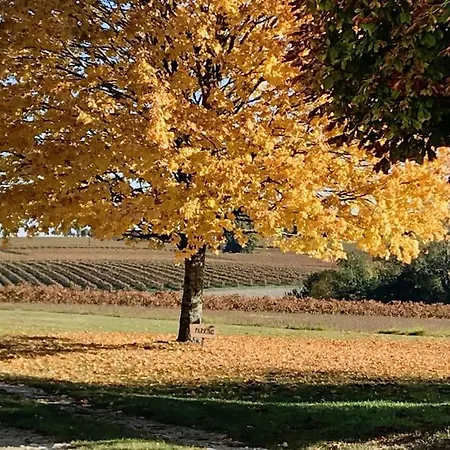 Le Mas, Maison De Maitre, Cognac * Verrieres (Charente)