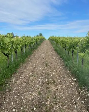 Сasa de vacaciones Maison Le Mas, Verrieres, Cognac *